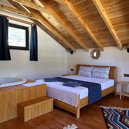 Koca Armut 2 فيلة كاس